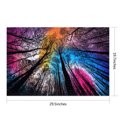 Bgraamiens black-and-white forest artwork invites careful observation and texture appreciation.