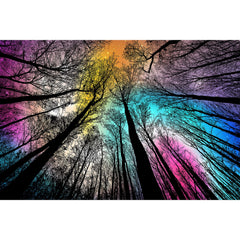 Bgraamiens Forest Under Starry Night puzzle image for mindful relaxation.