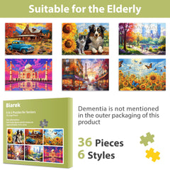 Bright, senior-friendly puzzle designs by Biarek