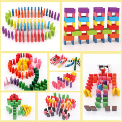 Educational play with BigOtters Dominos building counting and patterns