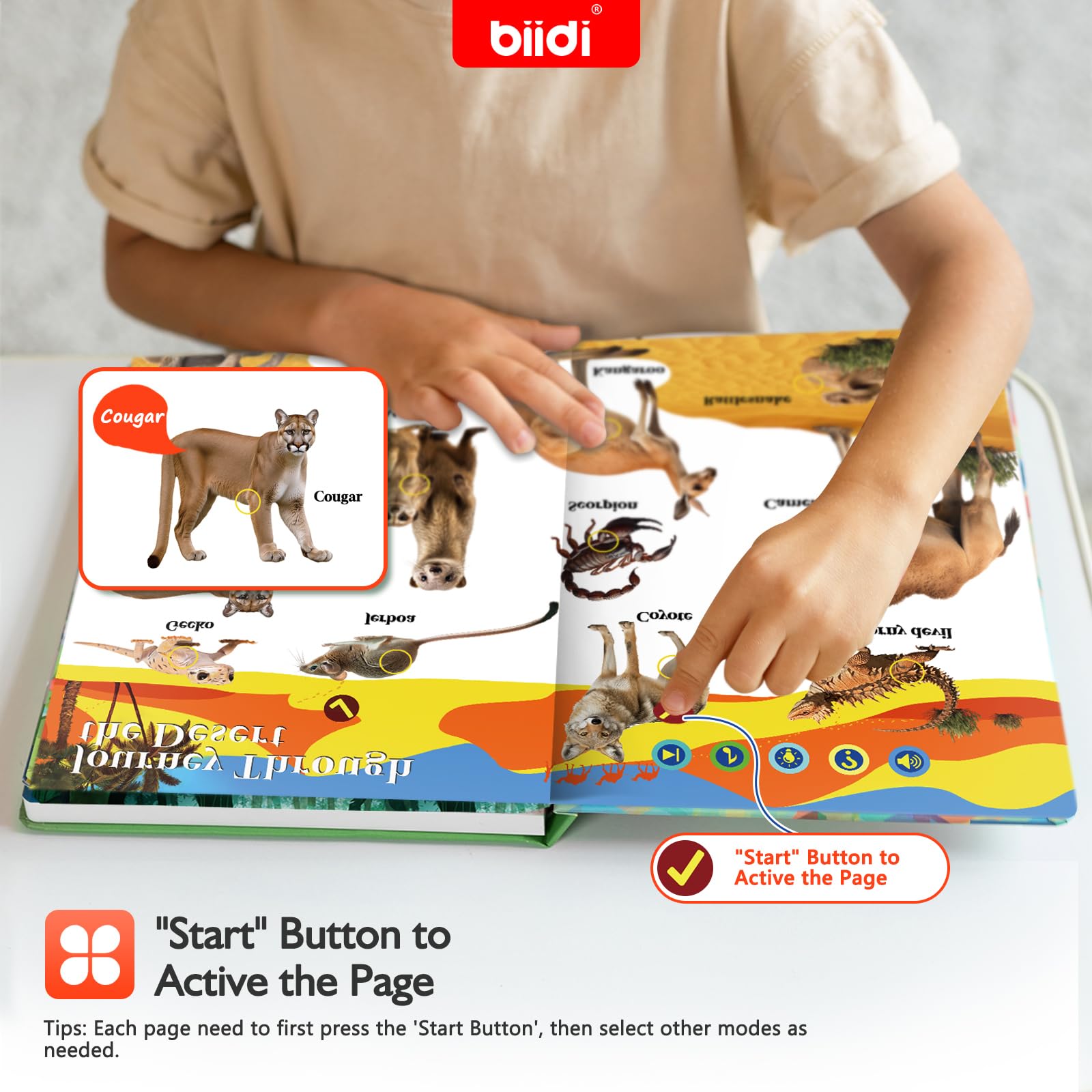 Biidi English 171-creatures display boosts vocabulary through interactive exploration