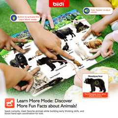 Biidi English Durable waterproof pages protect playtime adventures