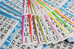 Bingo Innovation Bingo Books disposable paper is eco-friendly and single-use