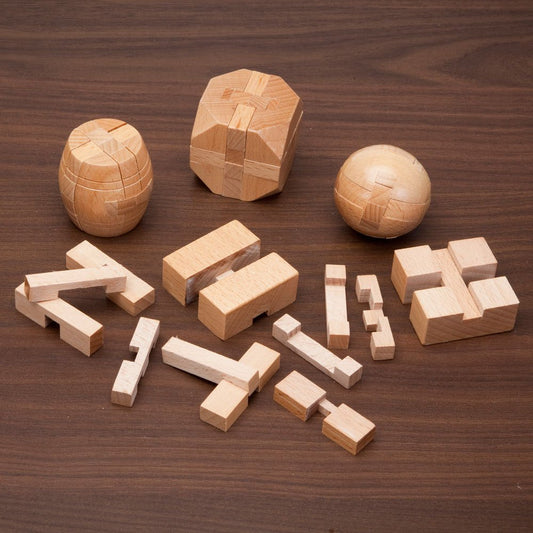 Bits and Pieces four classic puzzles in light wood interlock for problem-solving