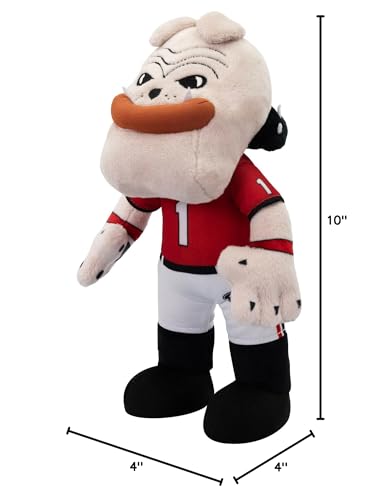 Bleacher Creatures Hairy Dawg display idea plush anchor for fan display.