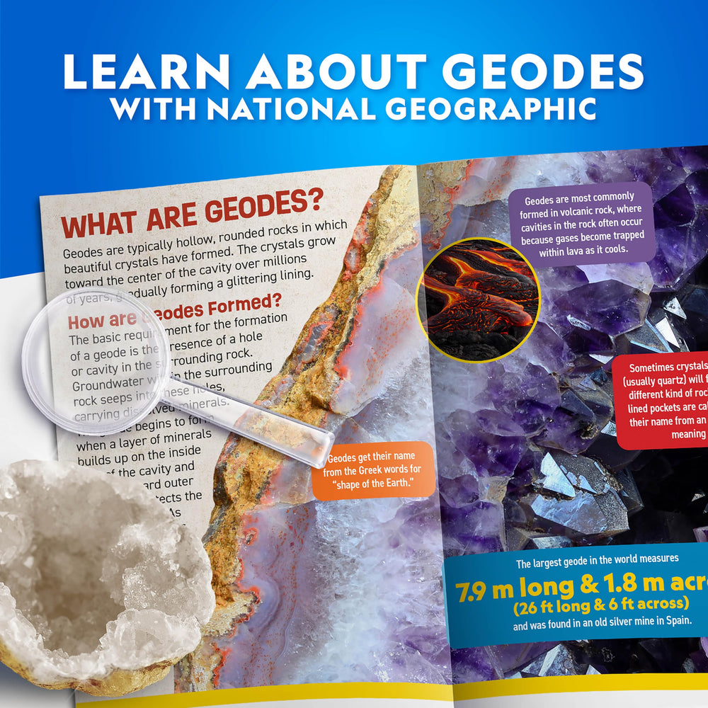 Blue Marble three display stands showcase discovered geodes and minerals.