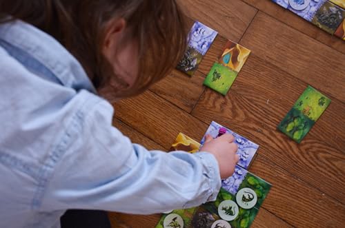 Blue Orange Dragomino egg tokens highlight dragon egg scoring.