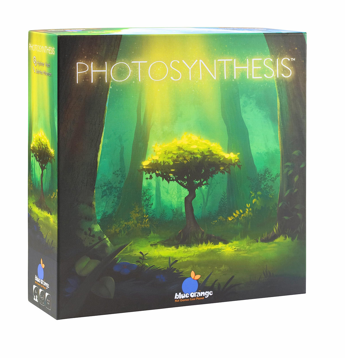 Blue Orange Photosynthesis sun rays show a lively forest for family game night.