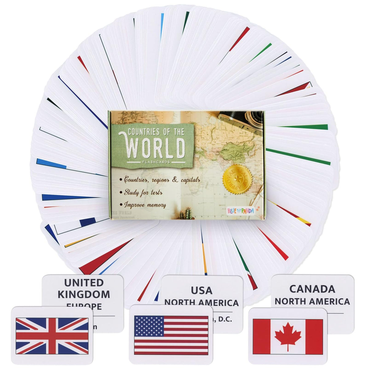 Blue Panda 205 Flags flash card front with a vivid flag for geography learning.
