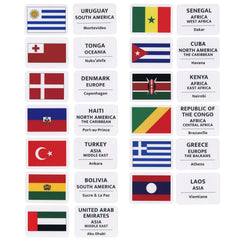 Blue Panda durable glossy finish flag cards withstand frequent handling.