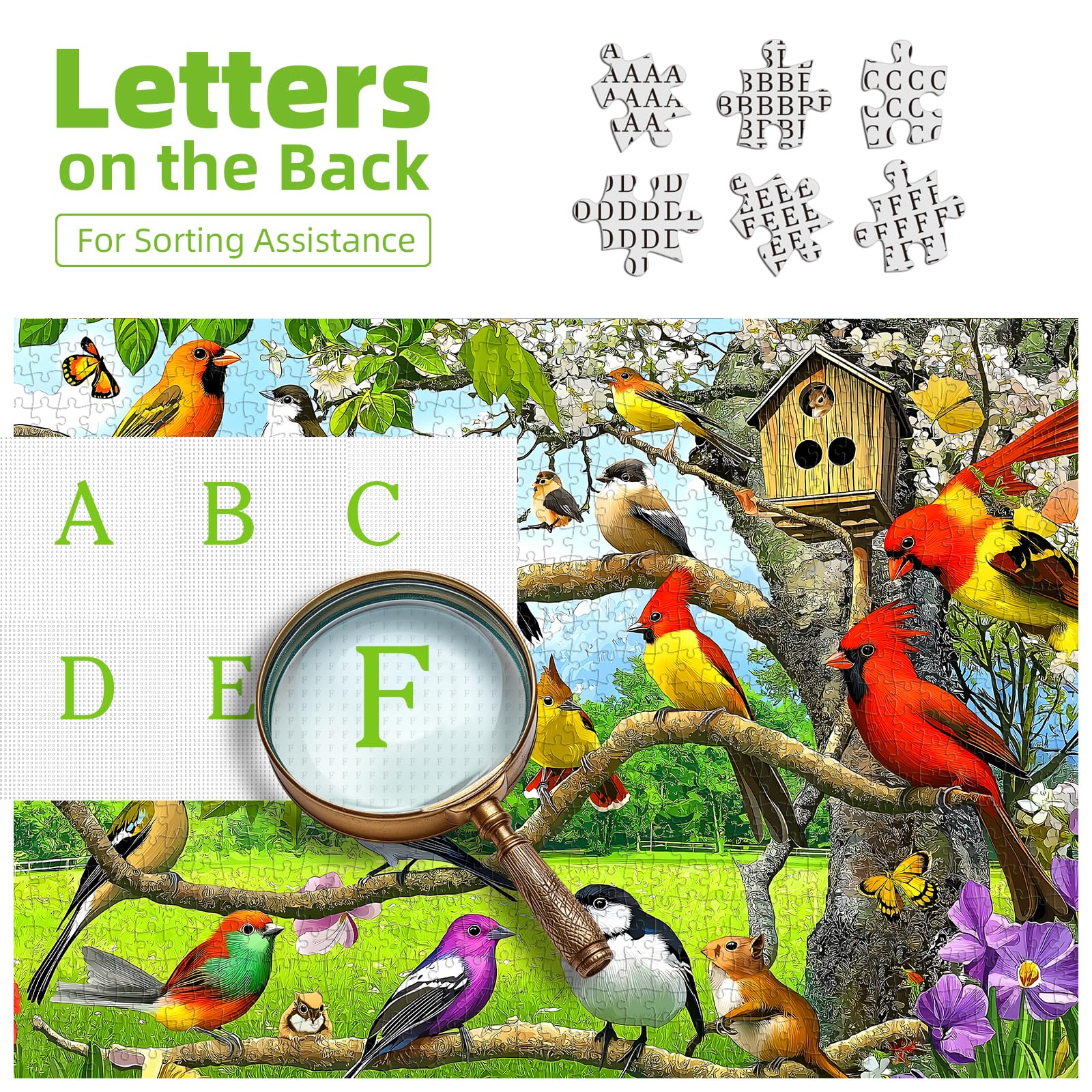 Blueforest Birds of Spring completed puzzle shown as wall art with colorful birds.