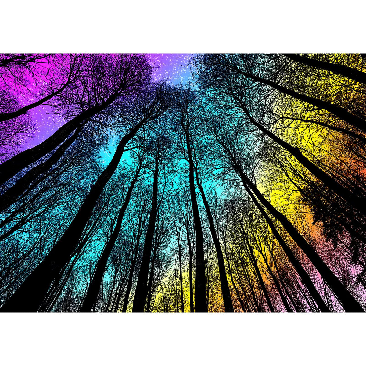 Blueforest Starry Night Forest gradient puzzle cover with vibrant hues for immersive solving.