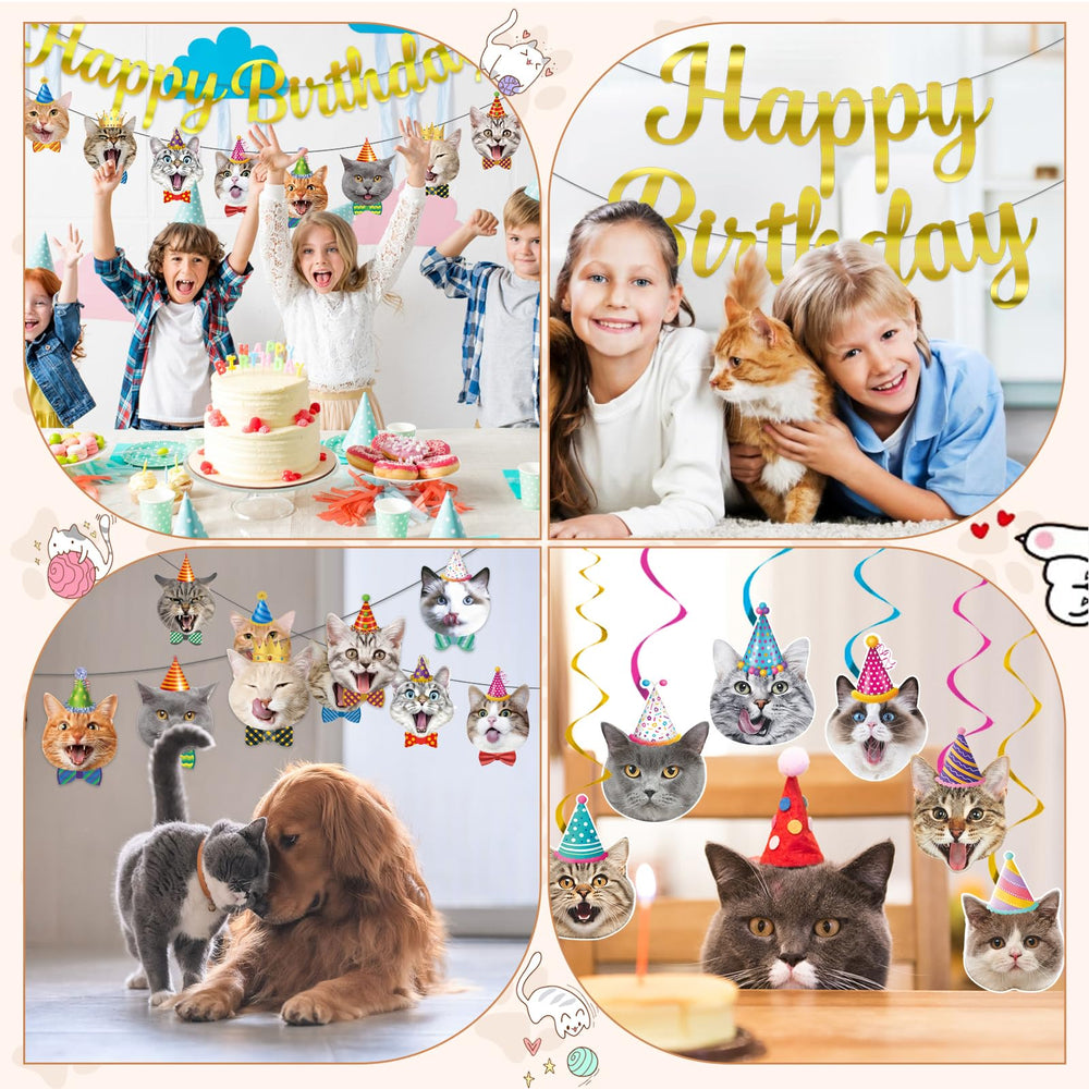 Bluegogo cat party set enables quick, stylish setup.