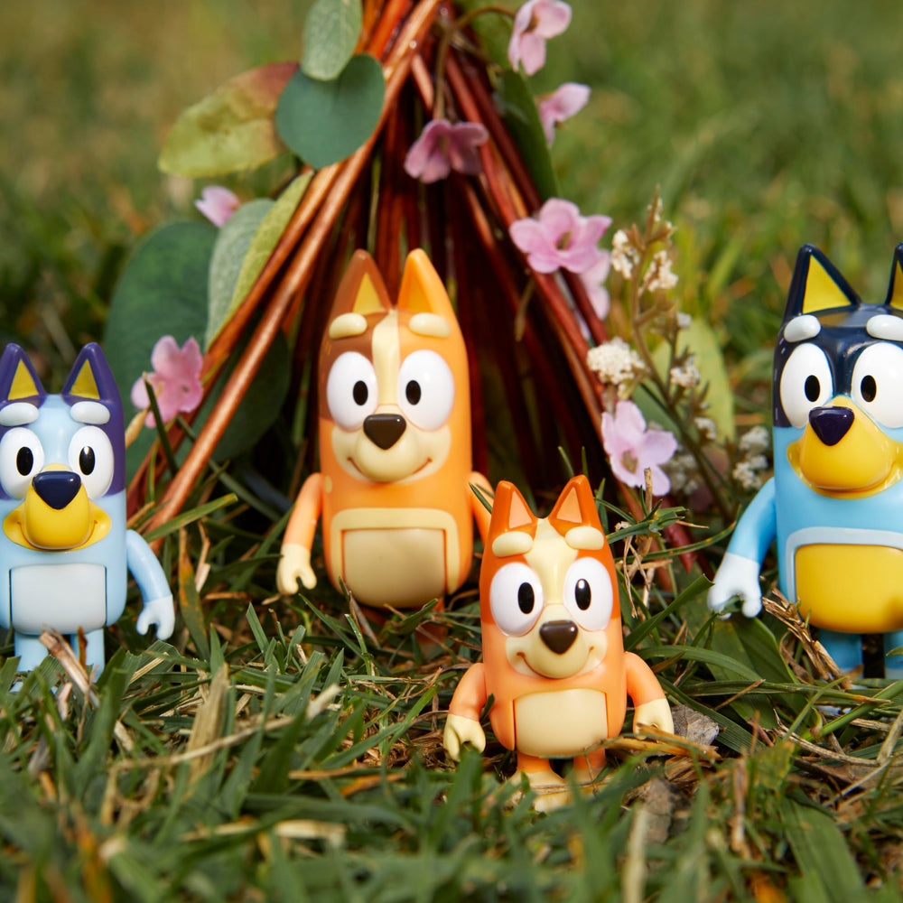 Bluey birthday gift-ready set perfect for celebrations.