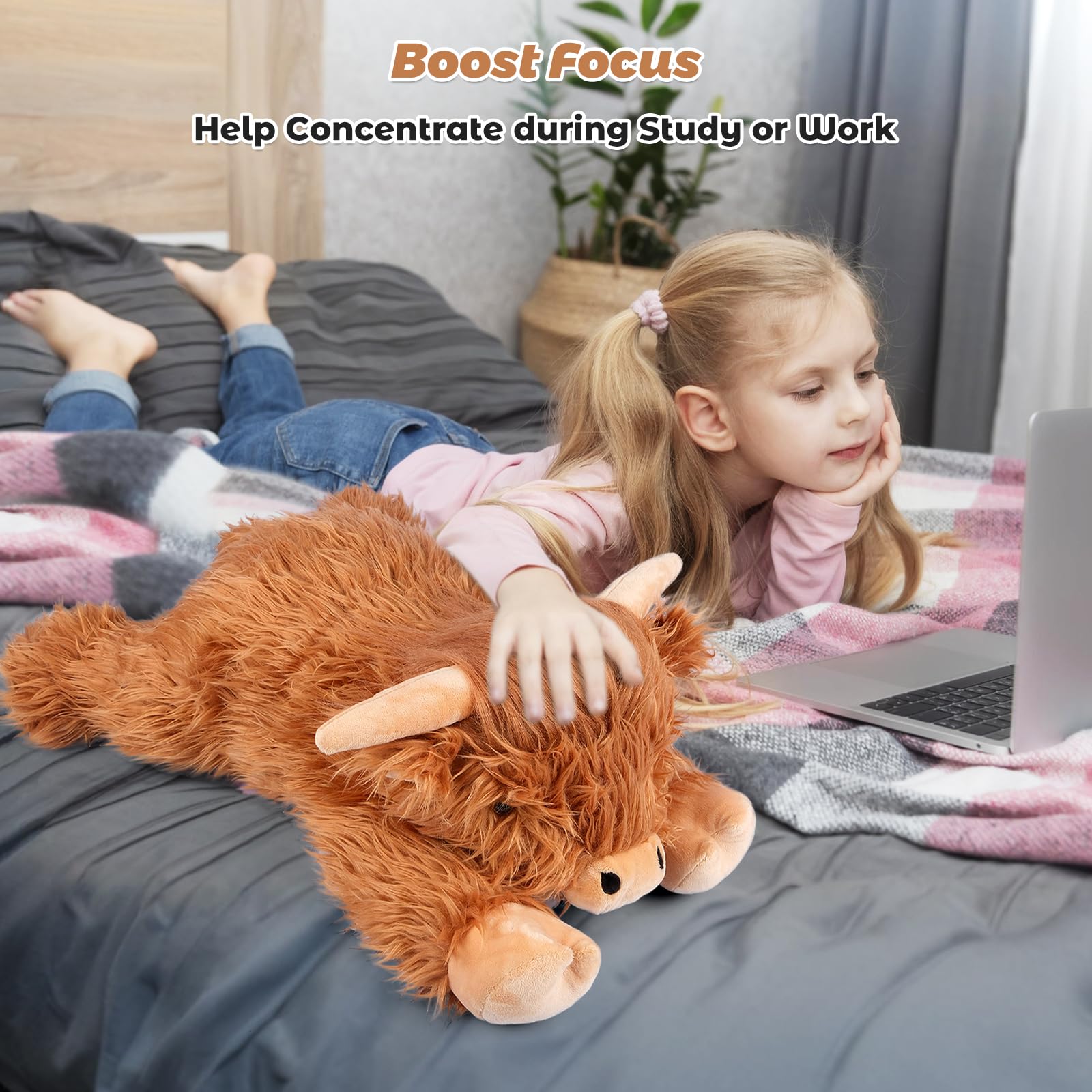Lumbar-support friendly plush for comfortable seating and reading