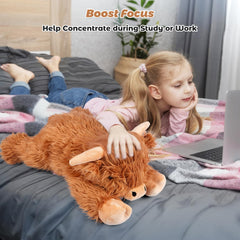 Lumbar-support friendly plush for comfortable seating and reading