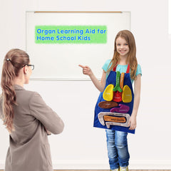 BOCZIF 3D organ apron with heart for classroom demonstrations and kid-friendly anatomy.