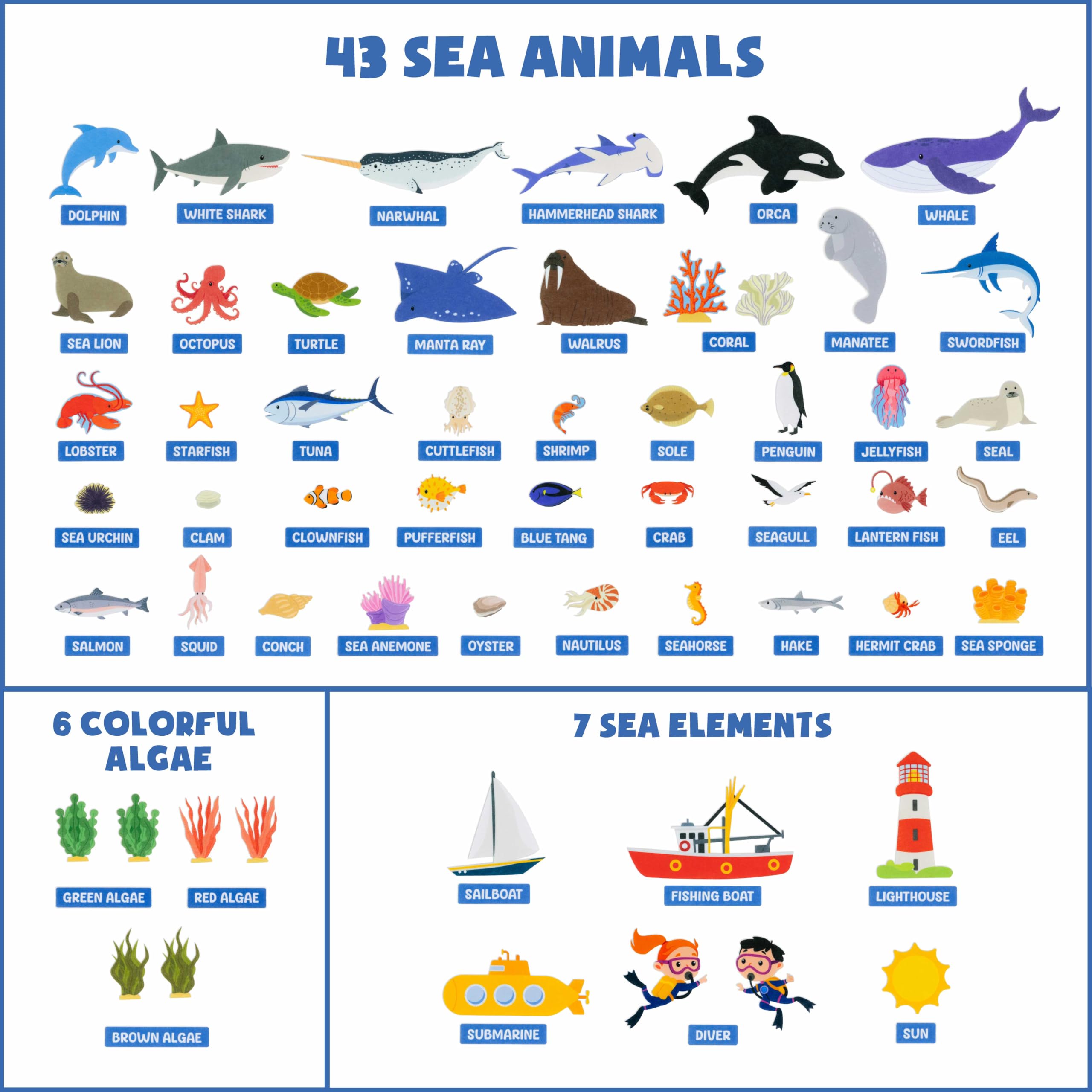 BONNYCO sensory-friendly sea board enhances tactile engagement during play.