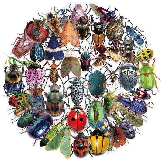 Booppyy 50 insect stickers pack for laptops and bottles, waterproof and fade-resistant.