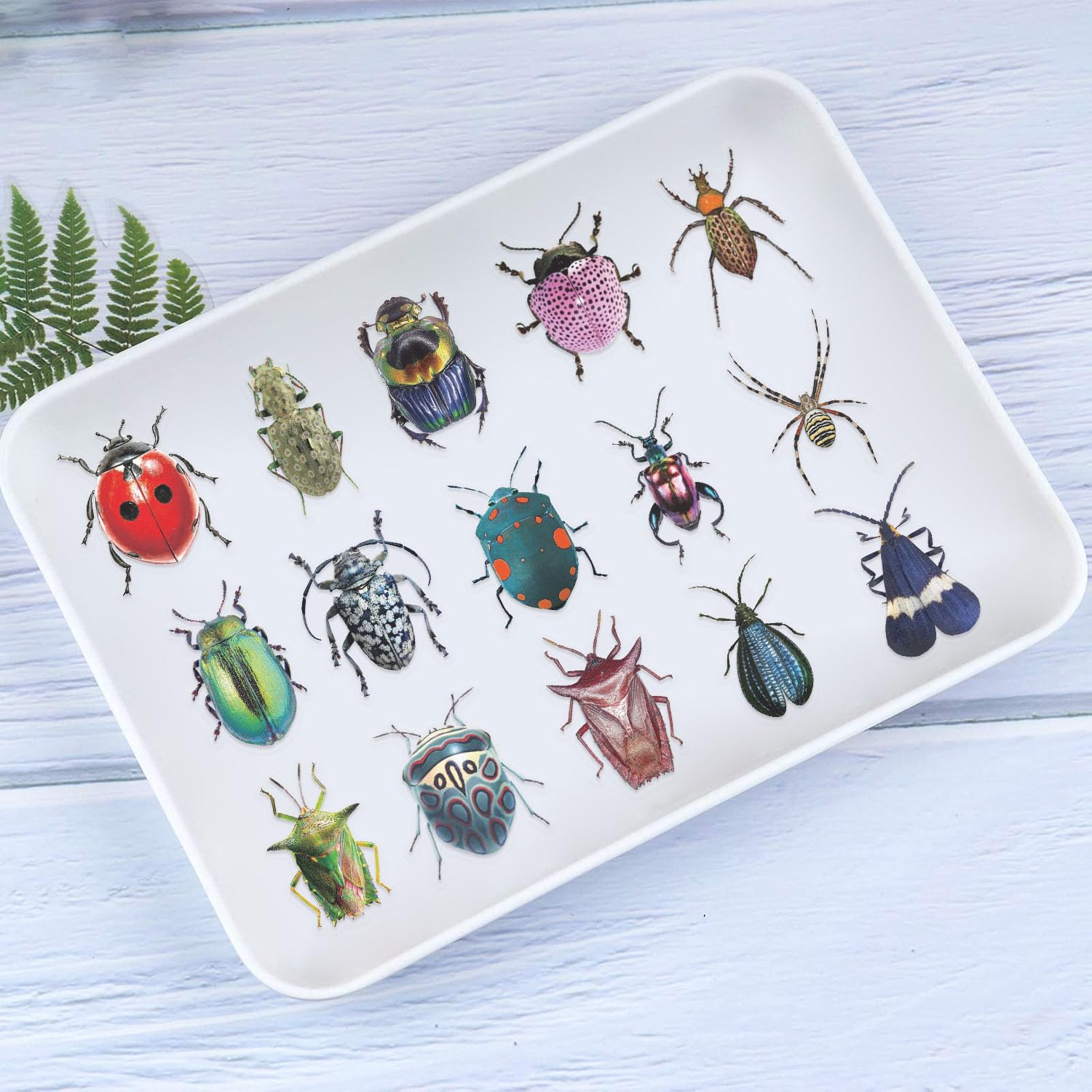 Booppyy scrapbook stickers for journals and crafts, easy to reposition.