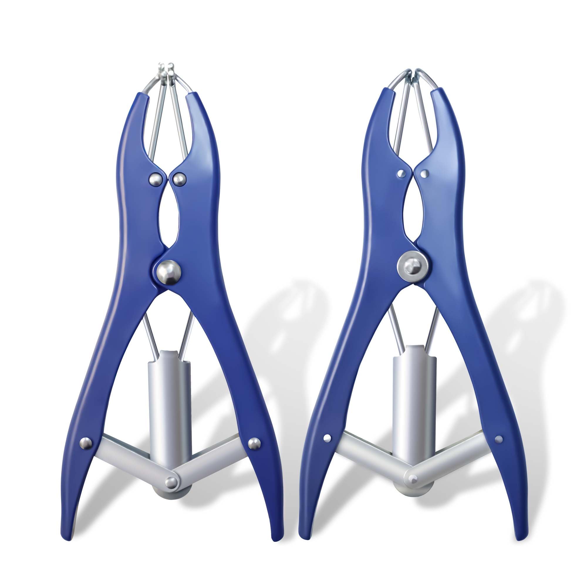 Borosino party decorations setup depicts the tool used at events like weddings and birthdays