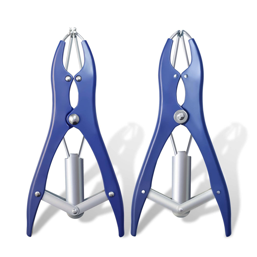 Borosino party decorations setup depicts the tool used at events like weddings and birthdays