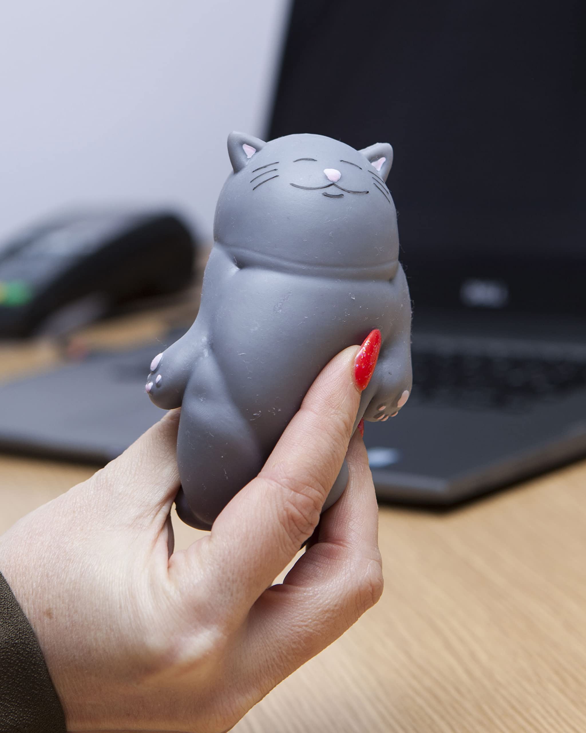 Kalma Kitty stocking stuffer idea for Christmas gifting to cat fans.