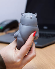 Kalma Kitty stocking stuffer idea for Christmas gifting to cat fans.