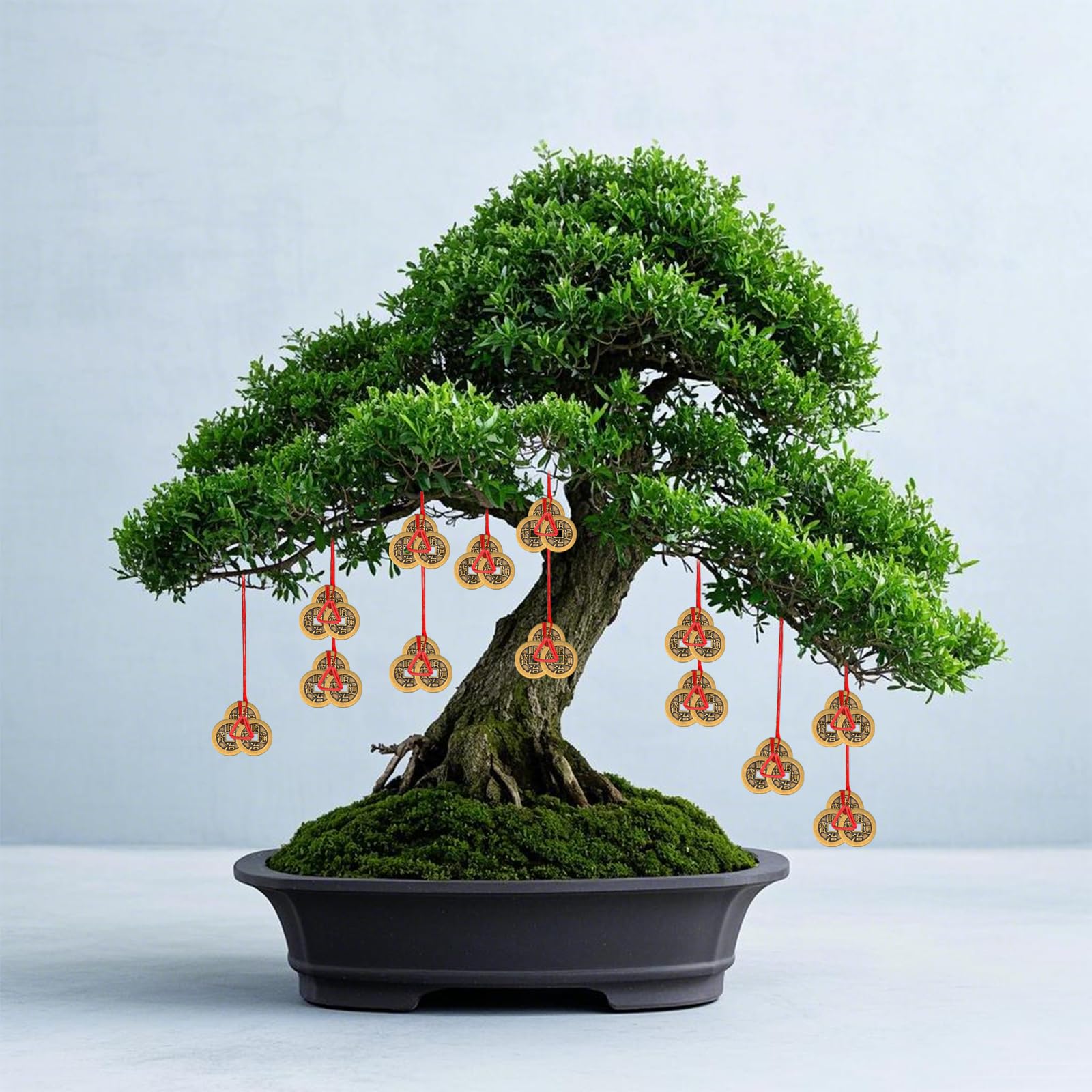 BOXOB coins placed in a purse for portable luck.