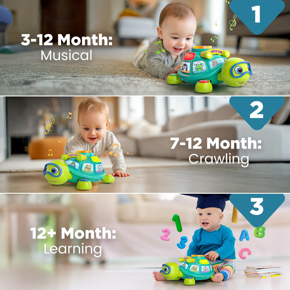 BQU turtle top button activates crawling and music.