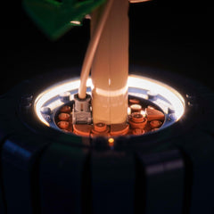 BrickBling botanical lighting system uses safe materials for durable use.