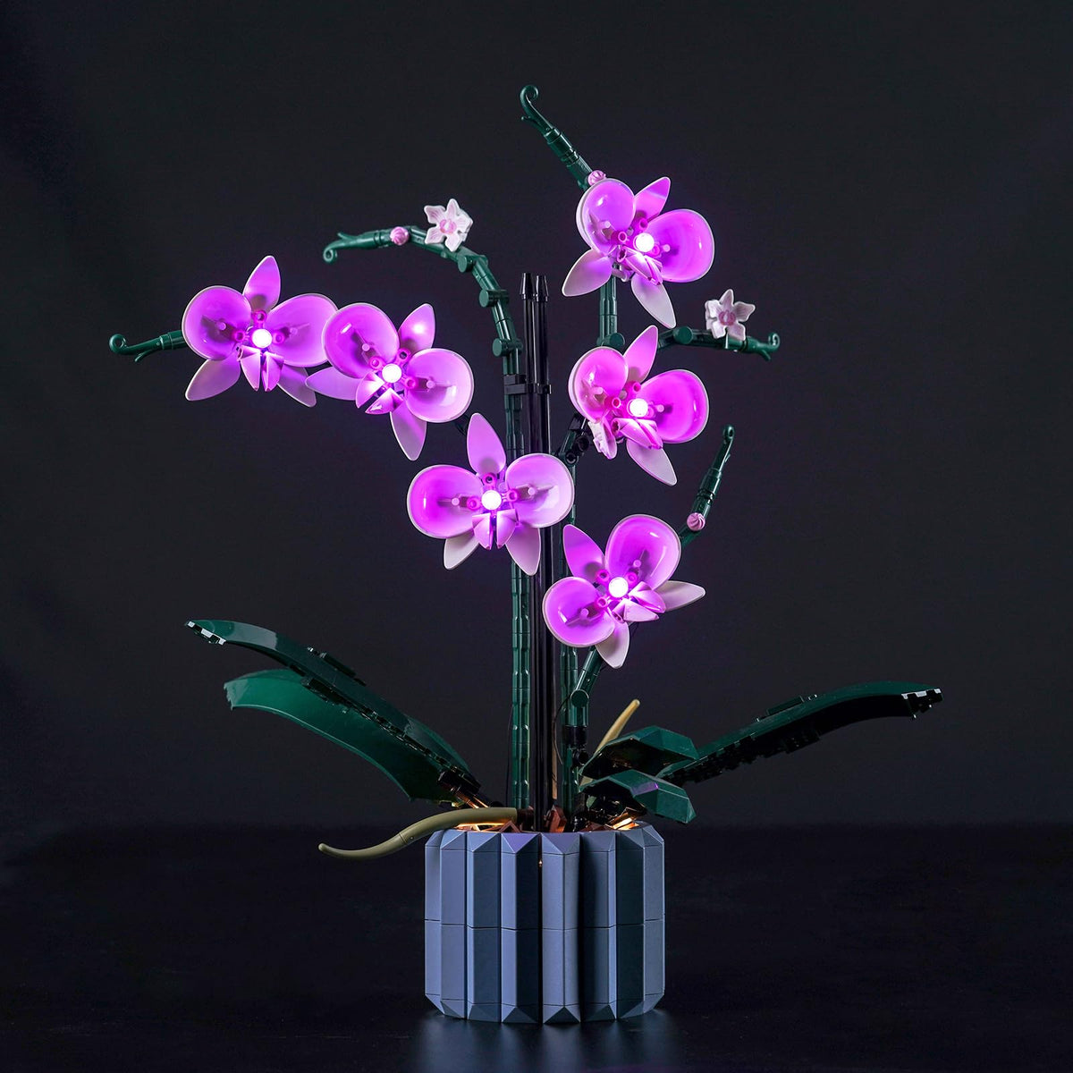 BrickBling LED lighting for LEGO Orchid 10311 adds subtle, even illumination to the display.