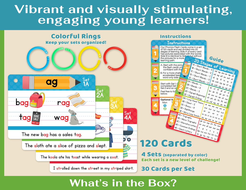 Bright Seed Phonics Flash Cards closeup highlights digraphs and CVC words.