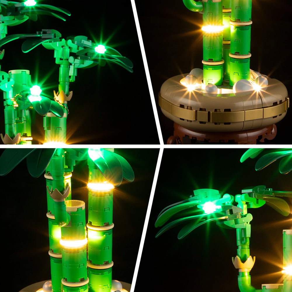 BRIKSMAX Bamboo model display illumination highlights natural bamboo branches under warm LED glow.