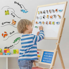 Broytain magnets on whiteboard enabling versatile learning activities
