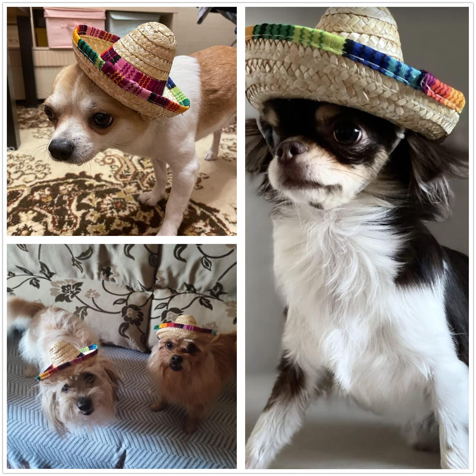BTYMS sombrero hats shown as pet costumes for playful flair.