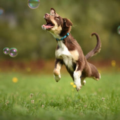Bubbletastic USA-made label highlights domestic production quality
