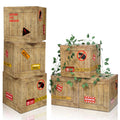 Bucherry dinosaur box centerpiece adds playful charm to a birthday party