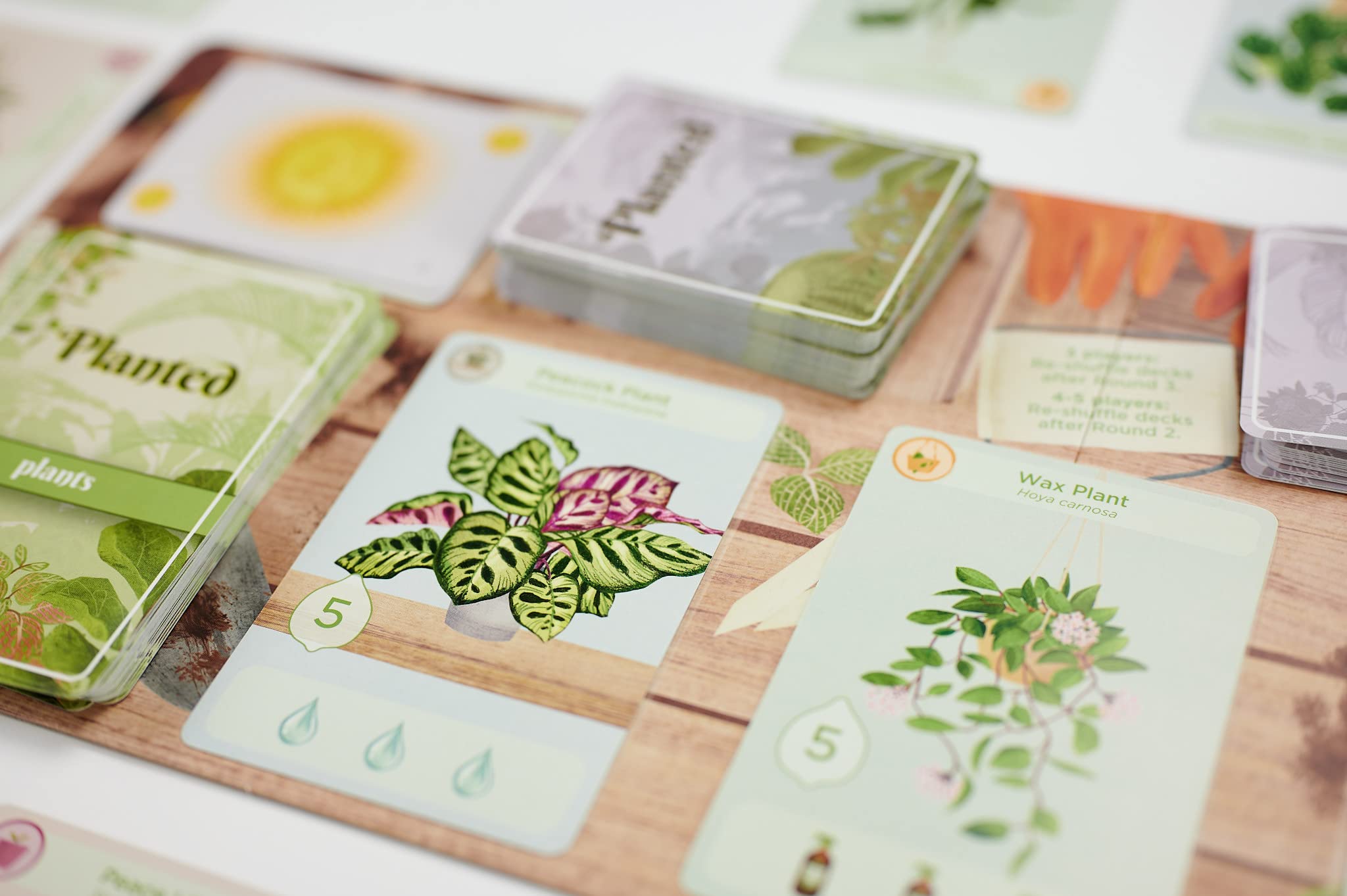 Buffalo Games Planted game-play briefing illustrating quick rounds and accessible rules.