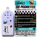 Burly Effects Hidden Noise Maker compact device hidden for discreet pranks