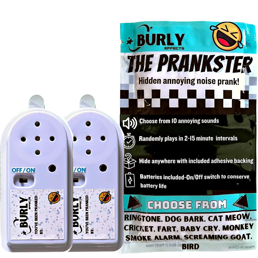 Burly Effects Hidden Noise Maker 2-Pack pack shot shows compact prank device