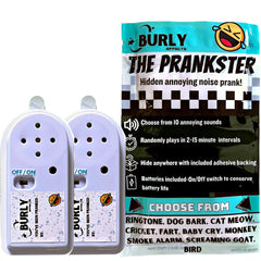 Burly Effects Hidden Noise Maker 2-Pack pack shot shows compact prank device