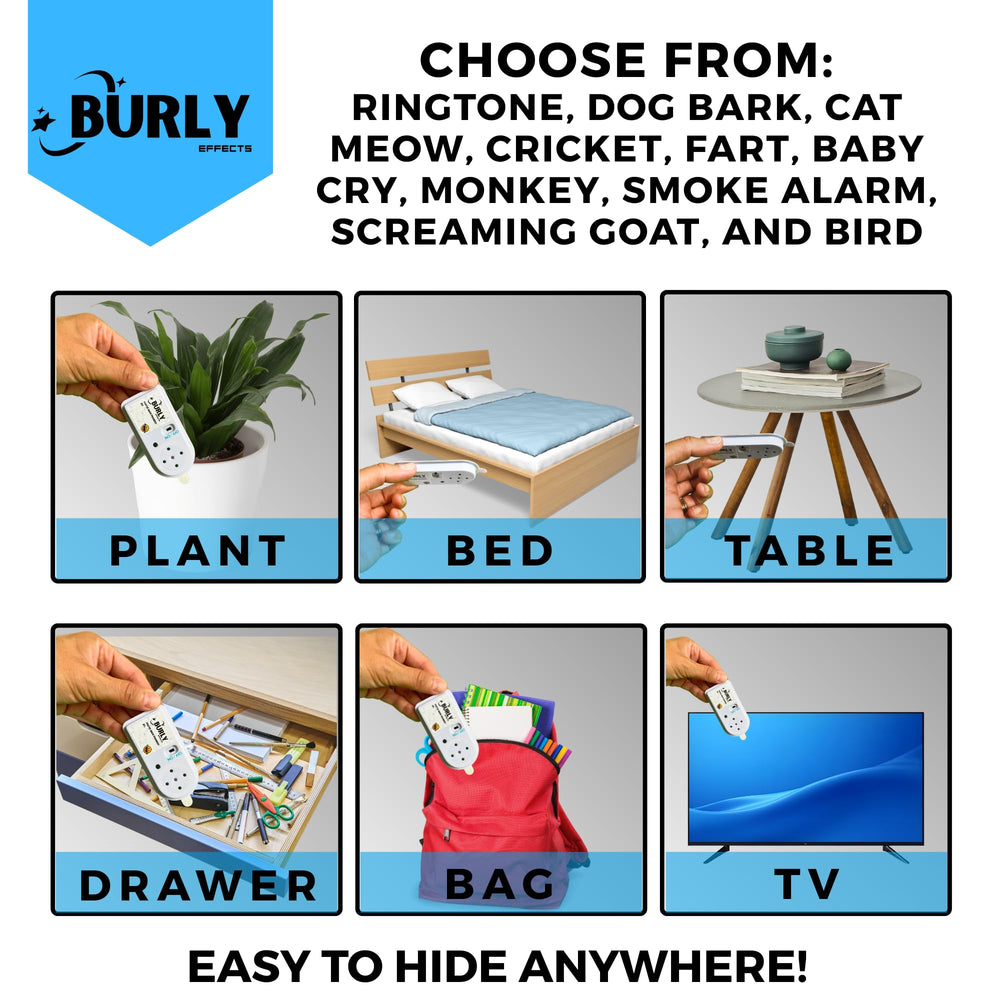Burly Effects random interval sound emission adds unpredictability to pranks