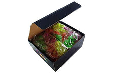 C&H Solutions jelly rings travel-friendly party accessory
