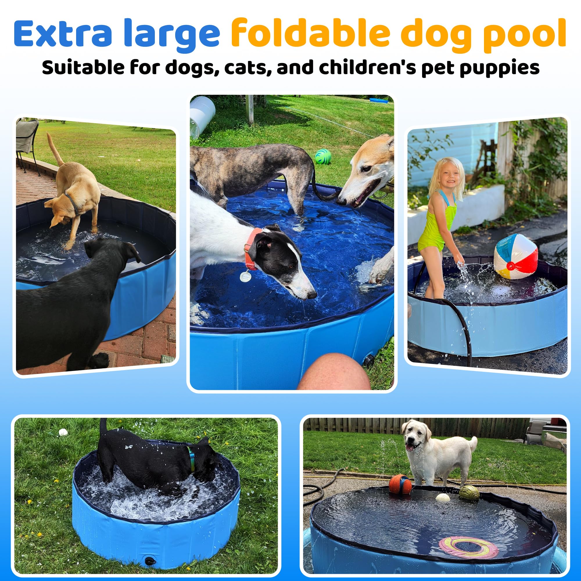 CACSPS foldable blue dog pool, compact when stored, great for travel.