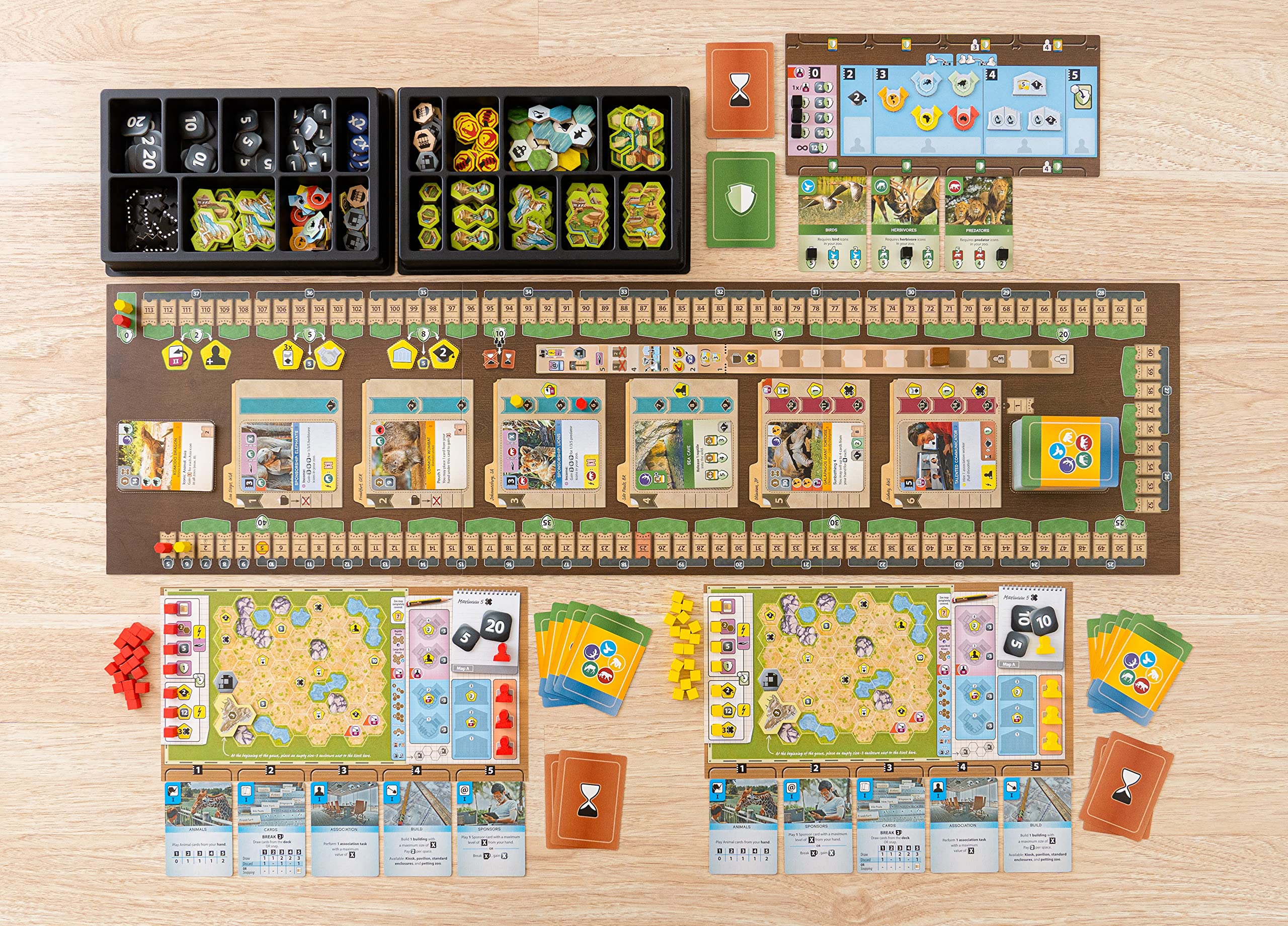 Capstone Games Ark Nova action cards show dynamic gameplay sequencing