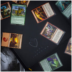 Card Guardian 360-card capacity label highlights high storage potential.
