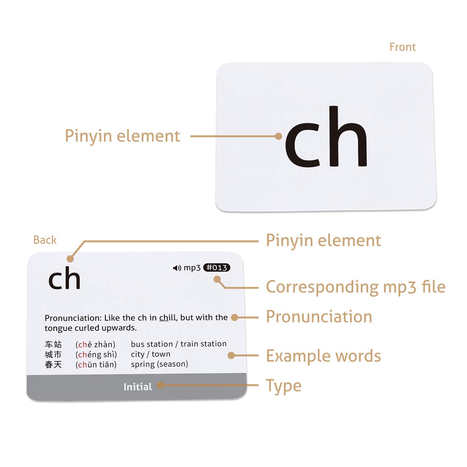 CARDDIA flashcard set with downloadable audio MP3 for pronunciation practice.