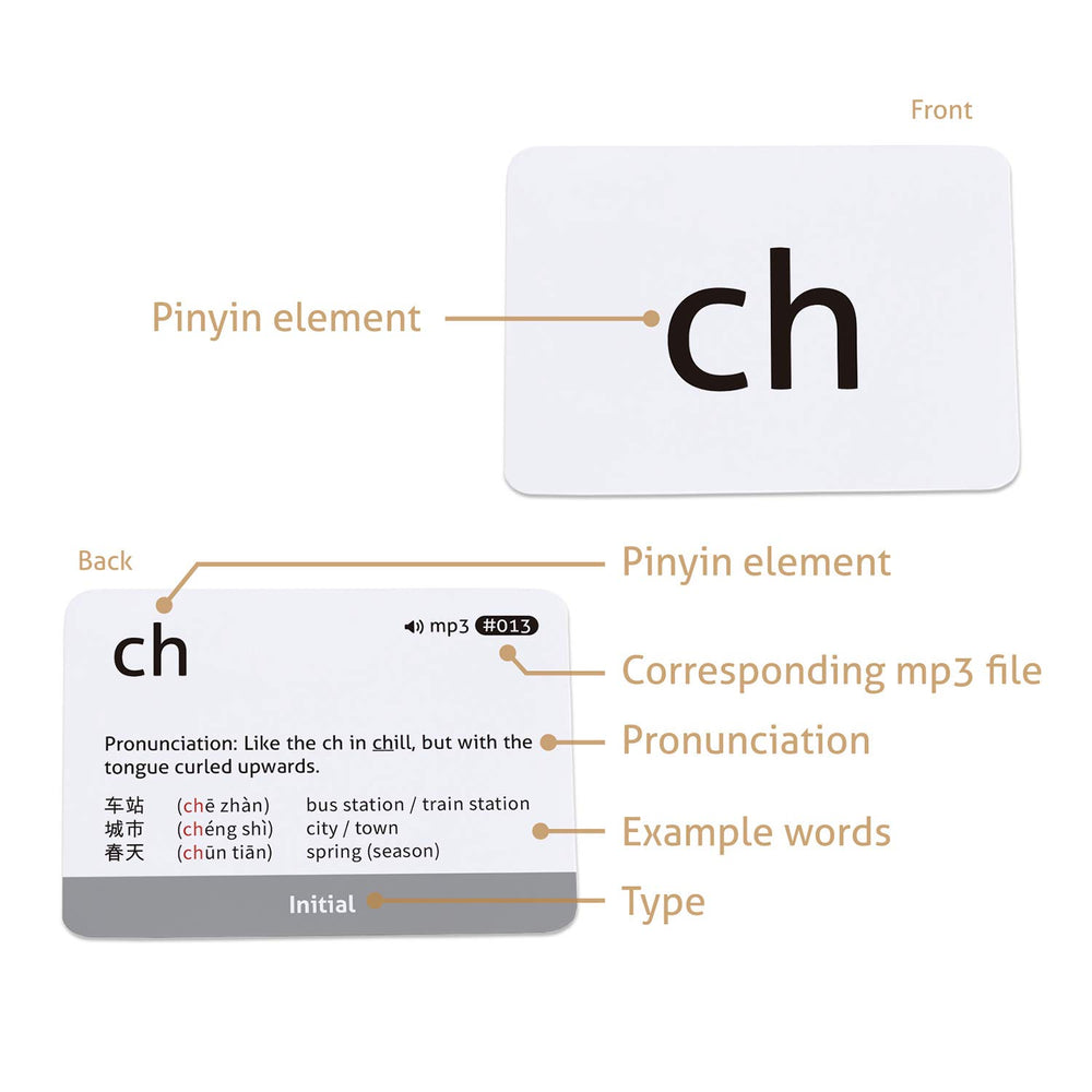 CARDDIA flashcard set with downloadable audio MP3 for pronunciation practice.