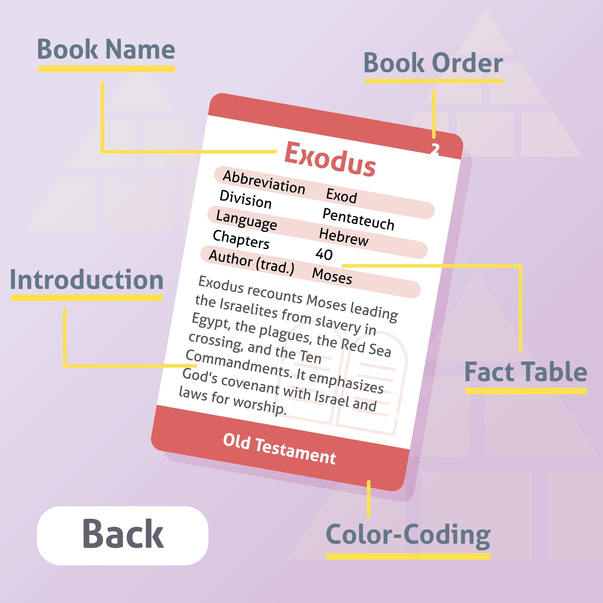 CARDDIA flash cards display key facts for quick reference during study